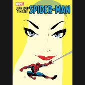 JEPH LOEB TIM SALE SPIDER-MAN GALLERY EDITION HARDCOVER TIM SALE COVER