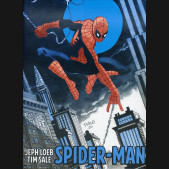 JEPH LOEB TIM SALE SPIDER-MAN GALLERY EDITION HARDCOVER TIM SALE DM VARIANT COVER
