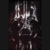STAR WARS DARTH VADER POSTER BOOK GRAPHIC NOVEL