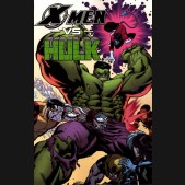 X-MEN VS HULK GRAPHIC NOVEL