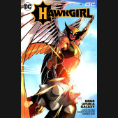 HAWKGIRL ONCE UPON A GALAXY GRAPHIC NOVEL