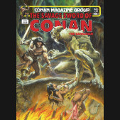 SAVAGE SWORD OF CONAN THE ORIGINAL COMICS OMNIBUS VOLUME 6 HARDCOVER EARL NOREM COVER