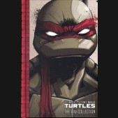 TEENAGE MUTANT NINJA TURTLES THE IDW COLLECTION VOLUME 1 HARDCOVER