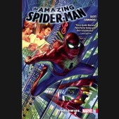 AMAZING SPIDER-MAN WORLDWIDE VOLUME 1 GRAPHIC NOVEL