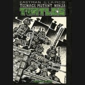 TEENAGE MUTANT NINJA TURTLES ARTISAN EDITION HARDCOVER