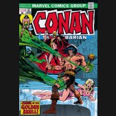 CONAN THE BARBARIAN THE ORIGINAL MARVEL YEARS OMNIBUS VOLUME 2 DM VARIANT HARDCOVER
