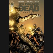WALKING DEAD DELUXE #34 COVER A FINCH & MCCAIG 