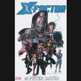 X-FACTOR BY PETER DAVID OMNIBUS VOLUME 2 HARDCOVER PABLO RAIMONDI DM VARIANT COVER