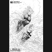 AQUAMEN #2 COVER C JIM LEE OVER SHIP CARD STOCK VARIANT