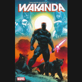 WAKANDA GRAPHIC NOVEL