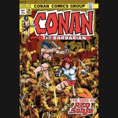 CONAN THE BARBARIAN THE ORIGINAL COMICS OMNIBUS VOLUME 1 HARDCOVER BARRY WINDSOR SMITH DM VARIANT COVER