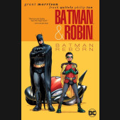 BATMAN AND ROBIN VOLUME 1 BATMAN REBORN GRAPHIC NOVEL