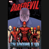 DAREDEVIL SHADOWLAND OMNIBUS HARDCOVER JOHN CASSADAY COVER