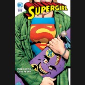 SUPERGIRL BY PETER DAVID BOOK 1 GRAPHIC NOVEL