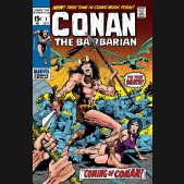 CONAN THE BARBARIAN THE ORIGINAL COMICS OMNIBUS VOLUME 1 HARDCOVER BARRY WINDSOR SMITH COVER