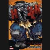 INCREDIBLE HULK BY PETER DAVID OMNIBUS VOLUME 1 DM VARIANT COVER HARDCOVER