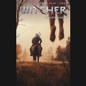 WITCHER VOLUME 6 WITCHS LAMENT GRAPHIC NOVEL