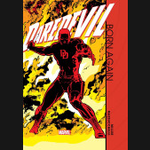 DAREDEVIL BORN AGAIN GALLERY EDITION HARDCOVER