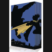 BATMAN THE DARK KNIGHT RETURNS HARDCOVER COLLECTORS EDITION BOX SET