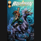 AQUAMAN 80TH ANNIVERSARY 100-PAGE SUPER SPECTACULAR #1 COVER A IVAN REIS & JOE PRADO 