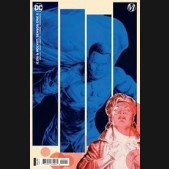 ICON & ROCKET SEASON ONE #2 DOUG BRAITHWAITE CARD STOCK VARIANT