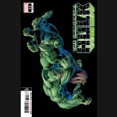 IMMORTAL HULK #13 (2018 SERIES) 3RD PRINTING