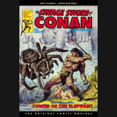 SAVAGE SWORD OF CONAN THE ORIGINAL COMICS OMNIBUS VOLUME 2 HARDCOVER EARL NOREM DM VARIANT COVER