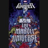 PUNISHER VS THE MARVEL UNIVERSE GRAPHIC NOVEL