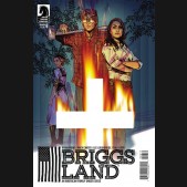 BRIGGS LAND #6