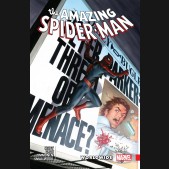 AMAZING SPIDER-MAN WORLDWIDE VOLUME 7 GRAPHIC NOVEL