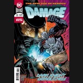 DAMAGE #13