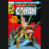 CONAN THE BARBARIAN THE ORIGINAL COMICS OMNIBUS VOLUME 5 HARDCOVER DM COVER