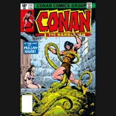 CONAN THE BARBARIAN THE ORIGINAL COMICS OMNIBUS VOLUME 5 HARDCOVER JOHN BUSCEMA COVER