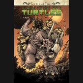 TEENAGE MUTANT NINJA TURTLES TURTLES IN TIME GRAPHIC NOVEL