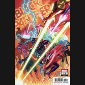 BLACK PANTHER #13 (2021 SERIES)