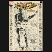 AMAZING SPIDER MAN BY STEVE DITKO ARTIST EDITION HARDCOVER DM VARIANT WEB COVER