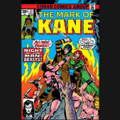 SOLOMON KANE THE ORIGINAL COMICS OMNIBUS VOLUME 1 HARDCOVER HOWARD CHAYKIN DM VARIANT COVER