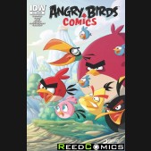 Angry Birds #12 (Subscription Variant Cover)