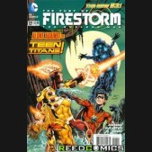 The Fury of Firestorm (2011) #17