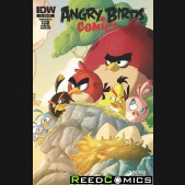 Angry Birds #9 (Subscription Variant Cover)