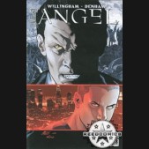 Angel After The Fall #29 (Cover B)