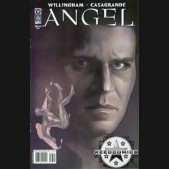 Angel After The Fall #33 (Cover A)