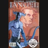 Angel After The Fall #33 (Cover B)