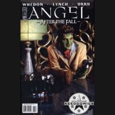 Angel After The Fall #6 (1:10 variant)