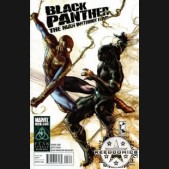 Black Panther The Man Without Fear #516