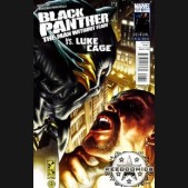 Black Panther The Man Without Fear #517