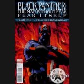 Black Panther The Man Without Fear #521