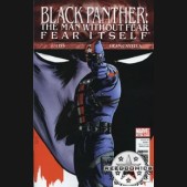 Black Panther The Man Without Fear #522