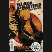 Black Panther The Most Dangerous Man Alive #528