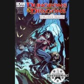 Dungeons and Dragons Forgotten Realms #3 (Cover B)